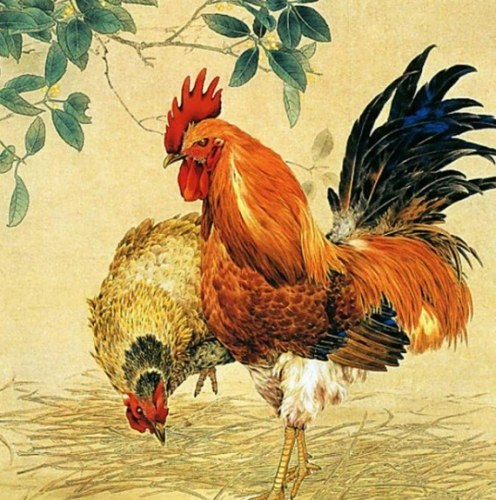 1969生肖