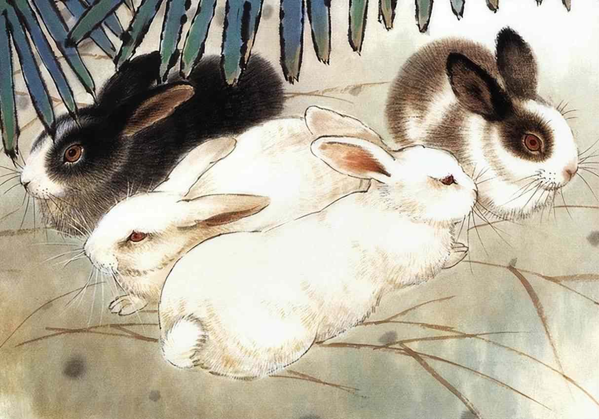 屬兔運程 屬兔運程